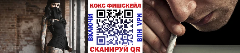 COCAIN FishScale  Купить закладки  Няндома 
