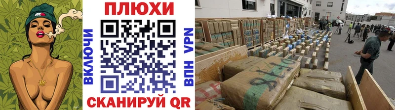 Купить Няндома ГАШ Premium