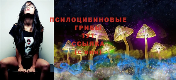 мяу мяу кристалл Бородино