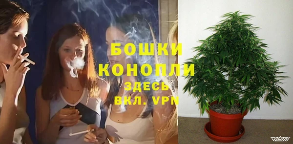 2c-b Бронницы