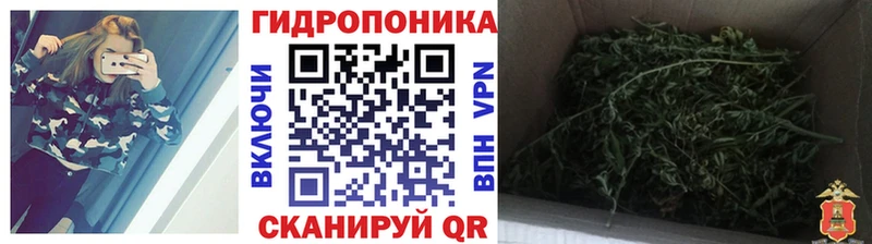 Купить закладки  Няндома  Марихуана THC 21% 